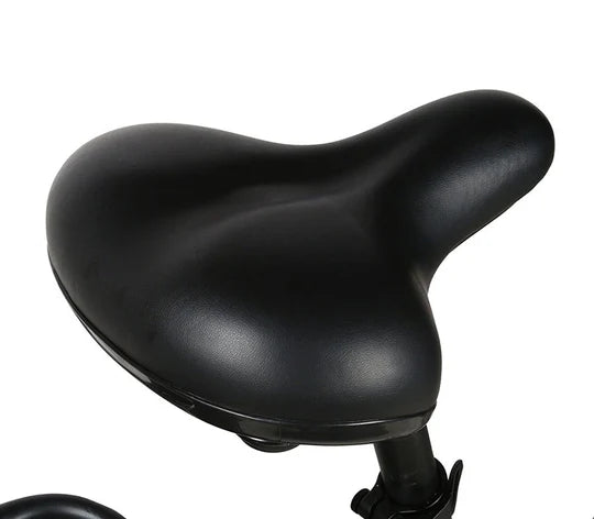 Samebike RS-A01
