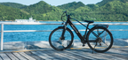 Duotts C29 Lite