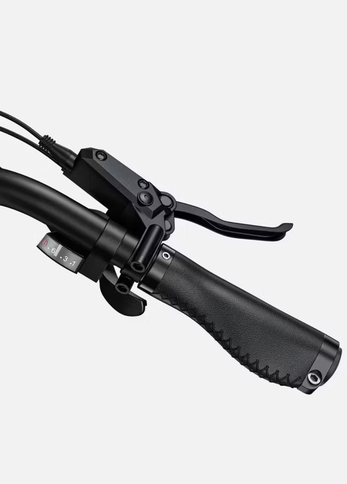 ENGWE X26 Dual