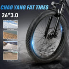 Samebike RS-A01