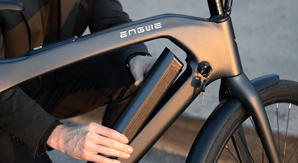 ENGWE N1 Pro