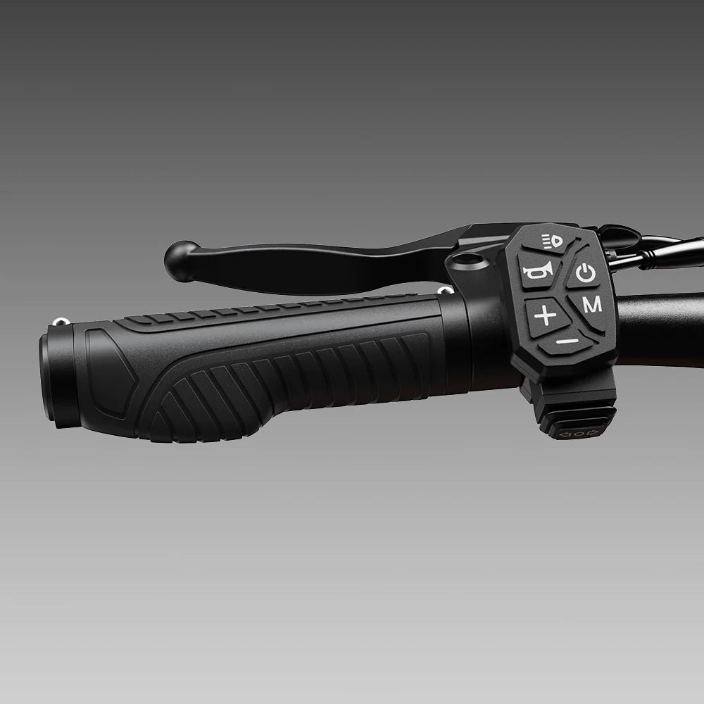 iScooter W12